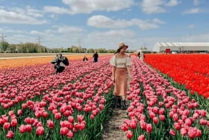 Amsterdam: Keukenhof, Tulip Farm Full-Day Tour with Cruise