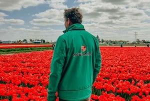 Amsterdam: Keukenhof, Tulip Farm Full-Day Tour with Cruise