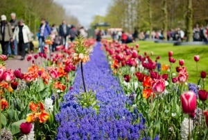 Amsterdam: Keukenhof, Tulip Farm Full-Day Tour with Cruise