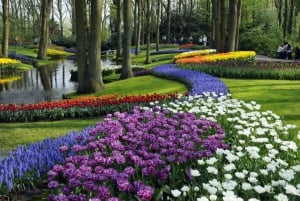 Amsterdam: Keukenhof, Tulip Farm Full-Day Tour with Cruise