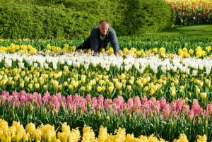 Amsterdam: Keukenhof, Tulip Farm Full-Day Tour with Cruise