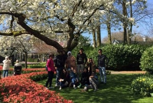 Amsterdam: Keukenhof Tulip Garden and Giethoorn Experience