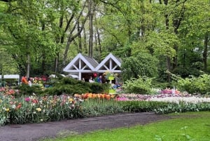Keukenhof Tulip Garden and Giethoorn Experience