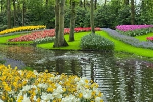 Keukenhof Tulip Garden en Giethoorn Experience