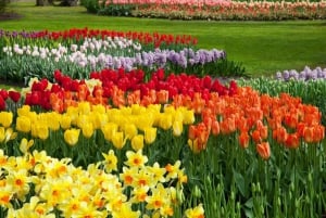 Ogród tulipanów Keukenhof i doświadczenie Giethoorn