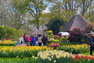 Amsterdam: Keukenhof Tulip Garden and Giethoorn Experience