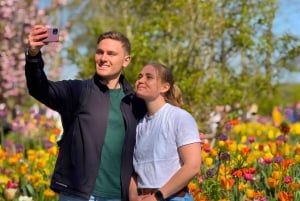 Amsterdam: Keukenhof Tulip Garden and Giethoorn Experience