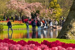 Amsterdam: Keukenhof Tulip Garden and Giethoorn Experience