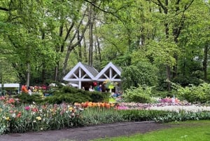 Amsterdam: Keukenhof Tulip Garden and Giethoorn Experience