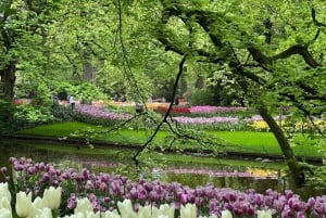 Amsterdam: Keukenhof Tulip Garden and Giethoorn Experience