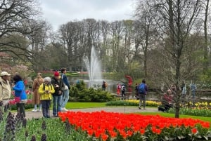 Amsterdam: Keukenhof Tulip Garden and Giethoorn Experience