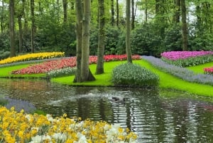 Amsterdam: Keukenhof Tulip Garden and Giethoorn Experience