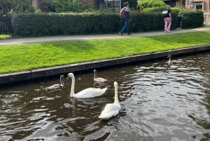 Amsterdam: Keukenhof Tulip Garden and Giethoorn Experience