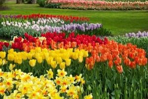 Amsterdam: Keukenhof Tulip Garden and Giethoorn Experience