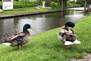 Amsterdam: Keukenhof Tulip Garden and Giethoorn Experience