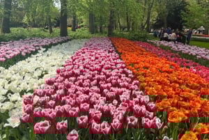 Amsterdam: Keukenhof Tulip Garden and Giethoorn Experience