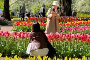 Amsterdam: Keukenhof Tulip Garden and Giethoorn Experience