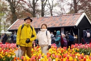 Desde Ámsterdam: Tulipanes de Keukenhof, Molinos de Viento y Volendam