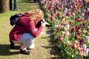 Desde Ámsterdam: Tulipanes de Keukenhof, Molinos de Viento y Volendam