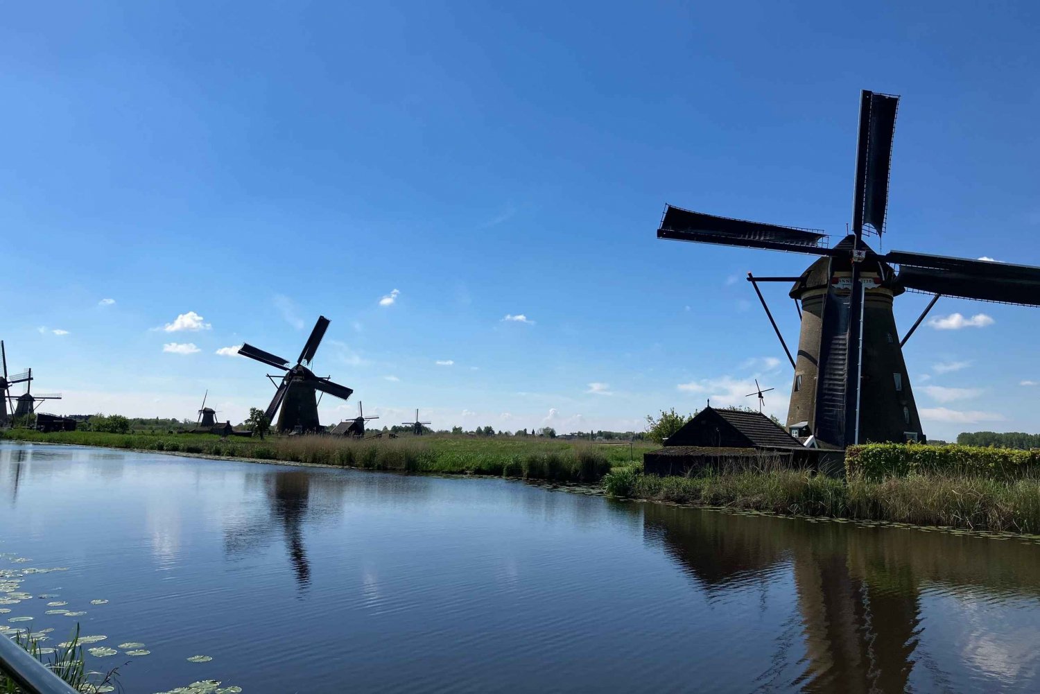 Amesterdão: Visita guiada a Kinderdijk e Roterdão em japonês