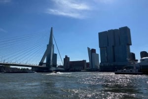 Amsterdam: Kinderdijk en Rotterdam Rondleiding in het Japans