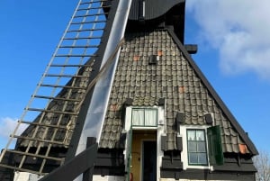 Amsterdam: Kinderdijk en Rotterdam Rondleiding in het Japans