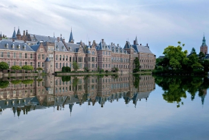 Amsterdam: Kinderdijk, Euromast, Delft i całodniowa wycieczka do Den Haag