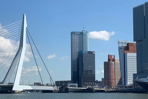 Amsterdam: Kinderdijk, Euromast, Delft i całodniowa wycieczka do Den Haag