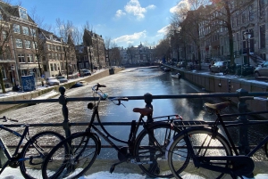 Kulturell stadsrundtur i Amsterdam, med hjärta och själ!