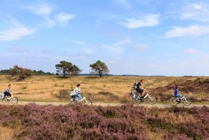 Amsterdam: Kröller-Müller & N.P. The Hoge Veluwe Guided Tour