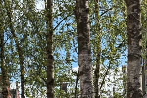 Amsterdam: KULTOUR mit Biss. Kulinarische Stadtführung