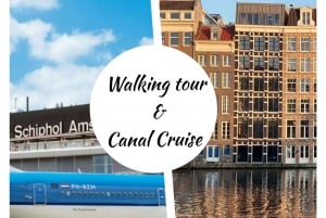 Amsterdam Layover: Tour, Canal Cruise & Airport Transfer