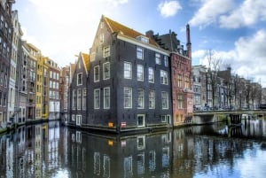 Amsterdam Layover: Tour, Canal Cruise & Airport Transfer