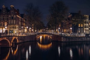 Amsterdam Layover: Tour, Canal Cruise & Airport Transfer