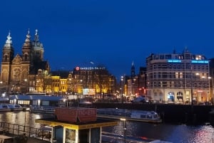 Amsterdam Layover: Tour, Canal Cruise & Airport Transfer