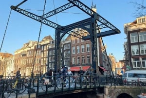 Amsterdam Layover: Tour, Canal Cruise & Airport Transfer