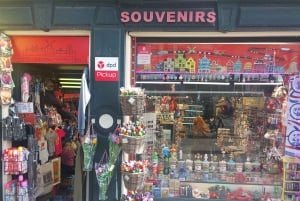 Międzylądowanie w Amsterdamie: Wycieczka piesza, rejs po kanałach i transfer