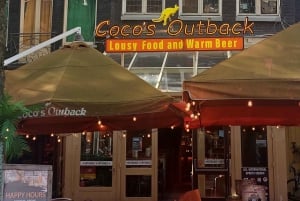 Międzylądowanie w Amsterdamie: Wycieczka piesza, rejs po kanałach i transfer