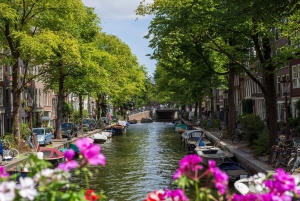Wandeltour door Amsterdam met lokale gids