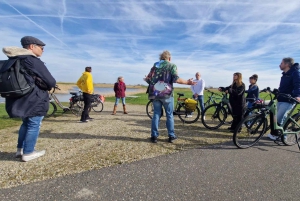 Amsterdam: Afslappet cykeltur til vindmøller og landskabet