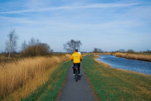 Amsterdam: Afslappet cykeltur til vindmøller og landskabet