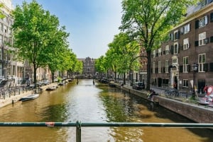 Amsterdam: Anne Frank och Andra världskriget – rundvandring