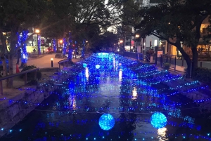 Boottocht Amsterdam Light Festival