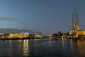 Boottocht Amsterdam Light Festival