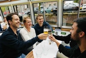 Croisière sur le festival des lumières d'Amsterdam avec boissons - fromage en option