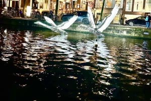 Амстердам: прогулка по каналам во время Фестиваля света в небольшой группе (12)