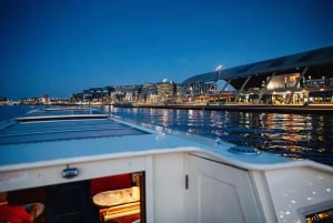 Amsterdam: Rejs po festiwalu światła z opcjonalnym winem i przekąskami