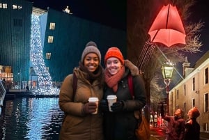 Visite guidée à vélo du festival des lumières d'Amsterdam