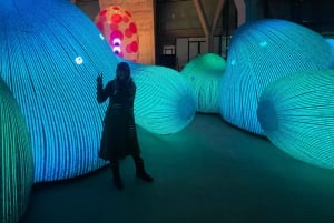 Amsterdam Light Festival - wycieczka rowerowa z przewodnikiem