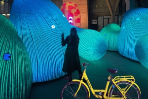 Amsterdam Light Festival Guided Bike Tour